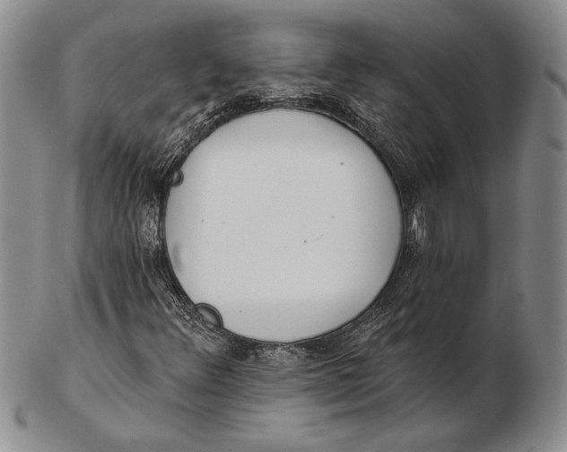 X0000102361348200808221707