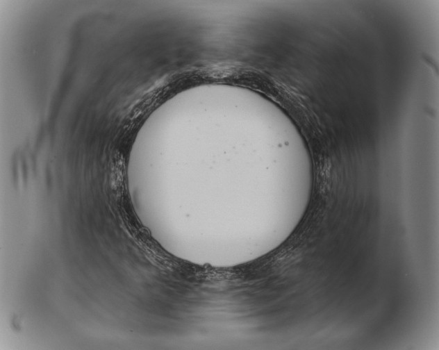 X0000102361349200808221706