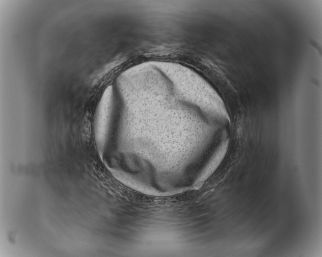 X0000102361350200808221706