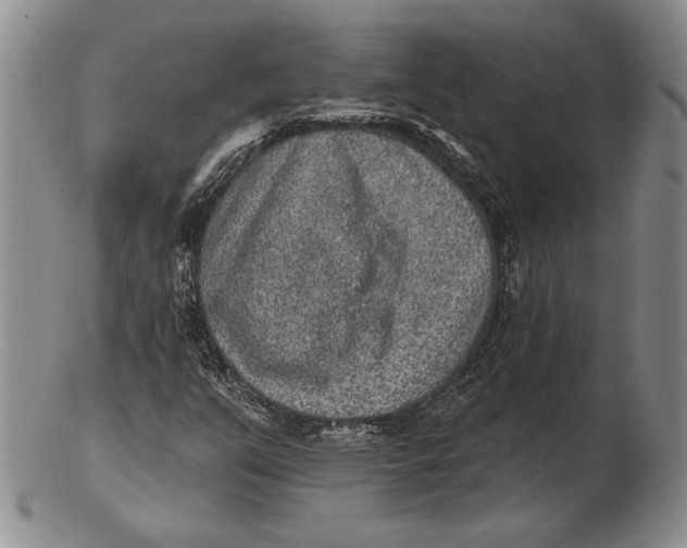 X0000102361351200808221706