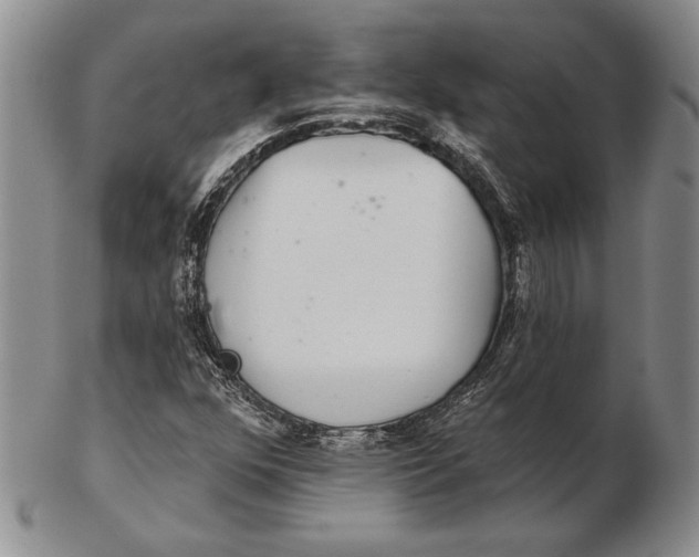 X0000102361352200808221706