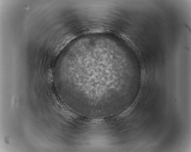 X0000102361353200808221706