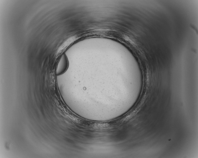 X0000102361354200808221706