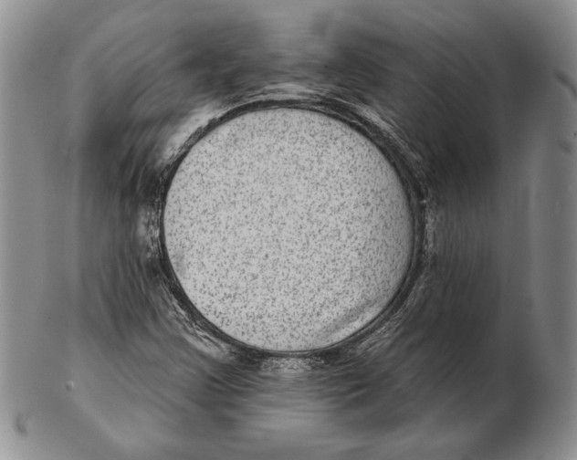 X0000102361355200808221706