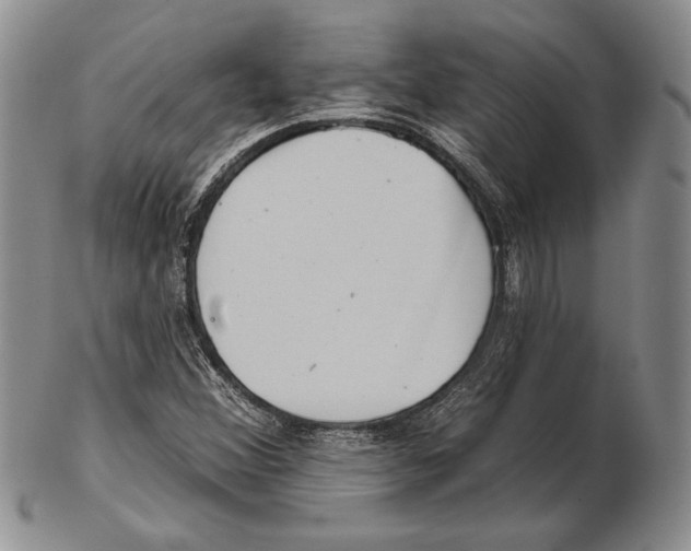 X0000102361356200808221706