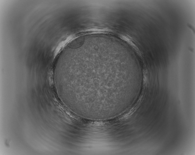 X0000102361357200808221706