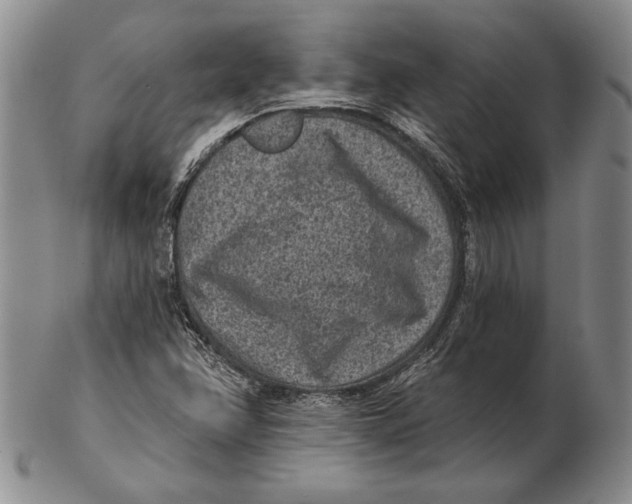 X0000102361358200808221706