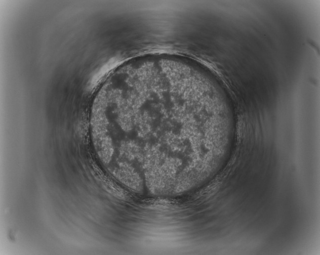 X0000102361359200808221706