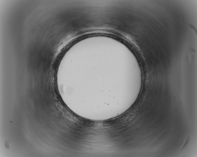 X0000102361360200808221706