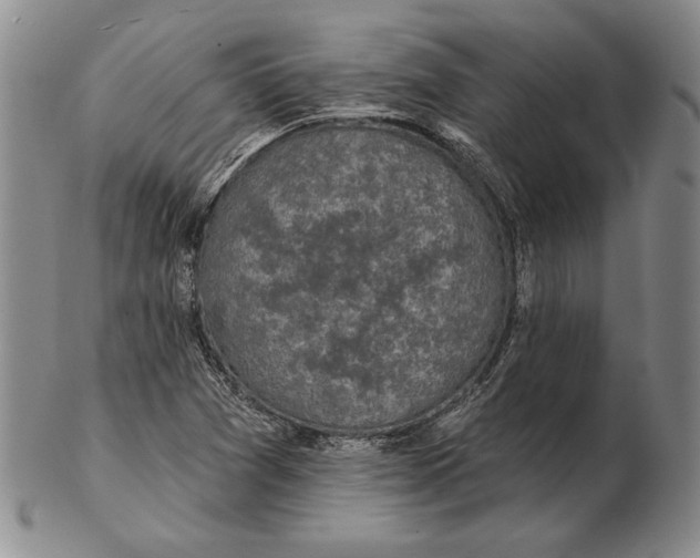 X0000102361361200808221706