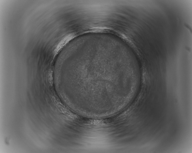 X0000102361362200808221706