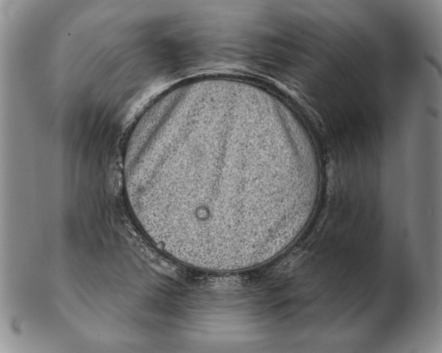 X0000102361363200808221706