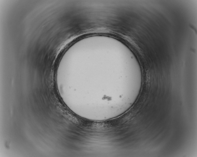 X0000102361364200808221706