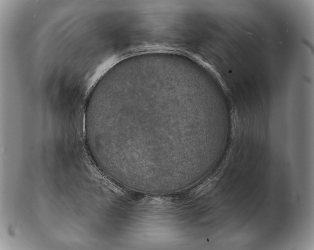 X0000102361365200808221706