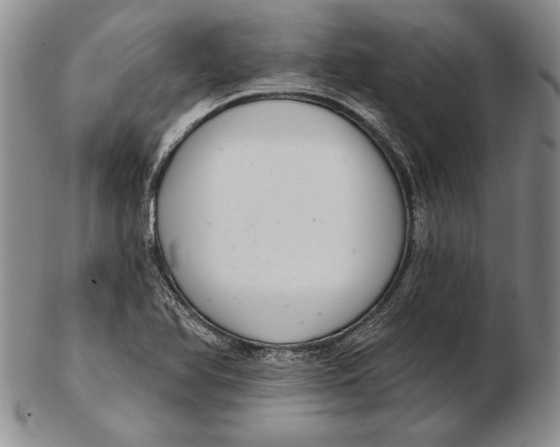 X0000102361366200808221706