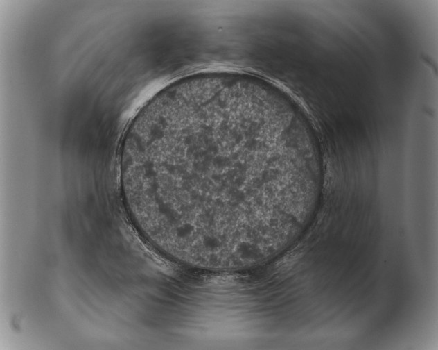 X0000102361367200808221706