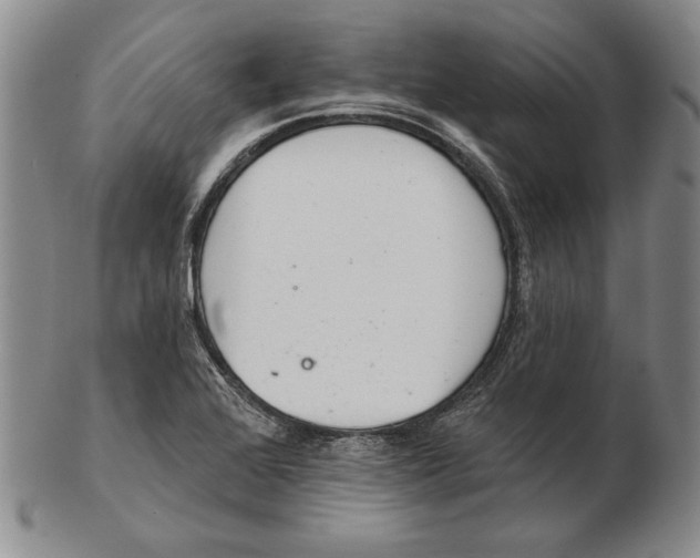 X0000102361368200808221706