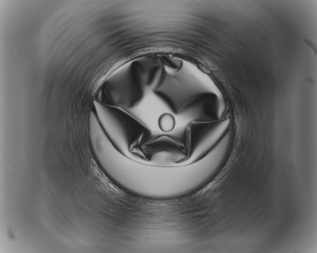 X0000102361369200808221706