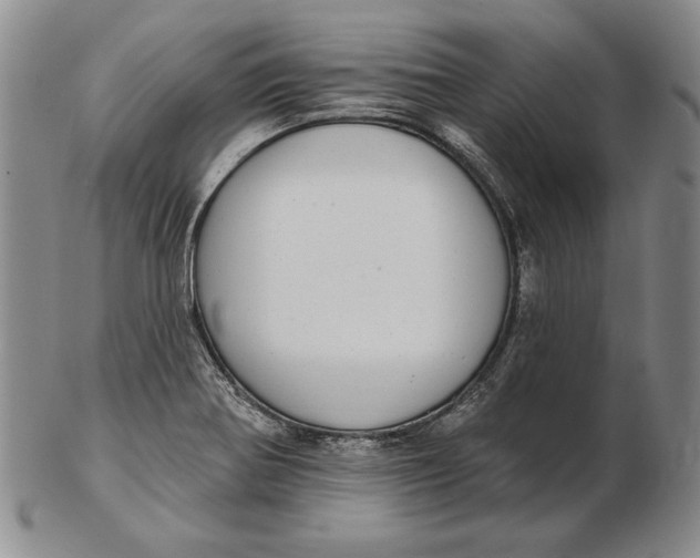 X0000102361370200808221706