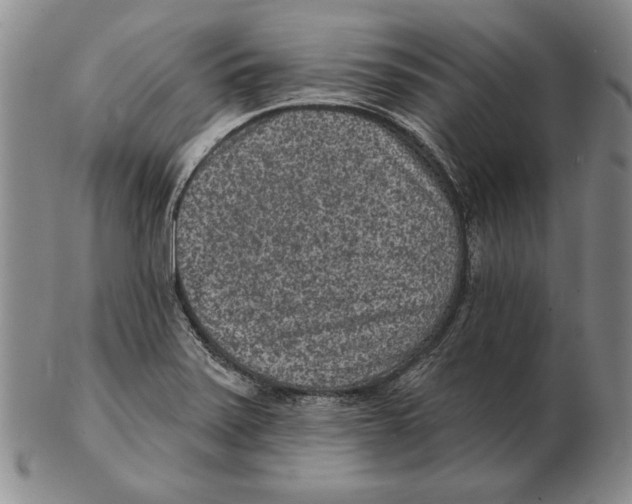 X0000102361371200808221706