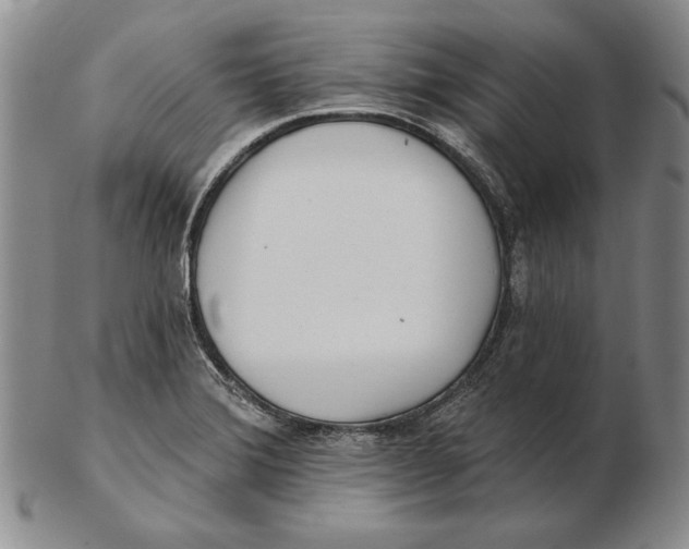 X0000102361372200808221706