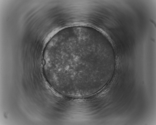 X0000102361373200808221706