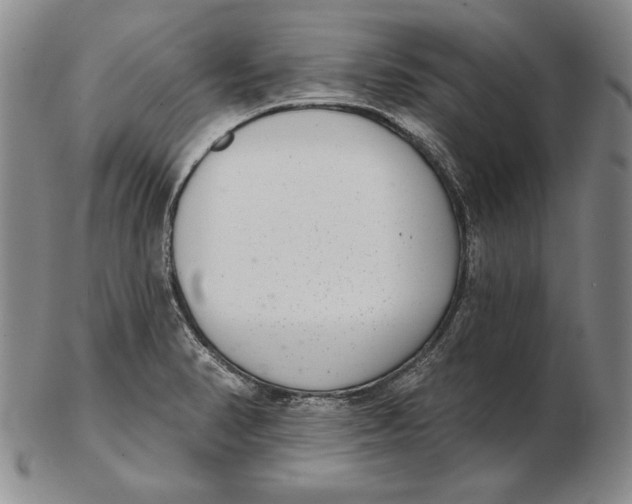 X0000102361374200808221706