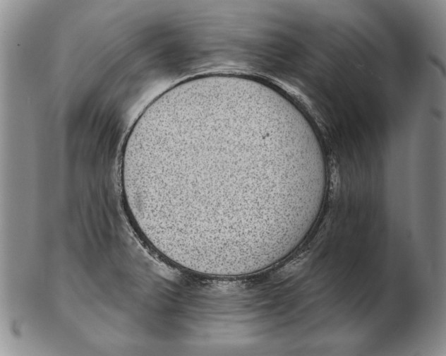 X0000102361375200808221706