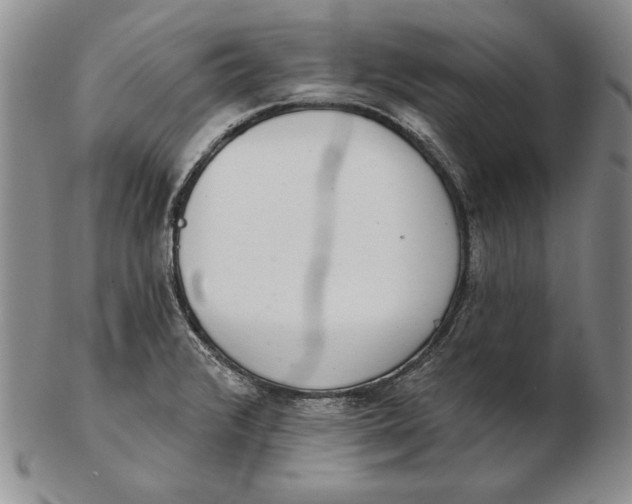 X0000102361376200808221706