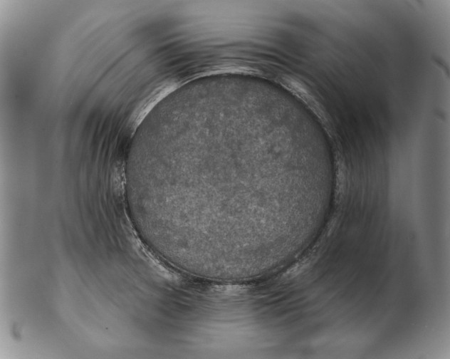 X0000102361377200808221706