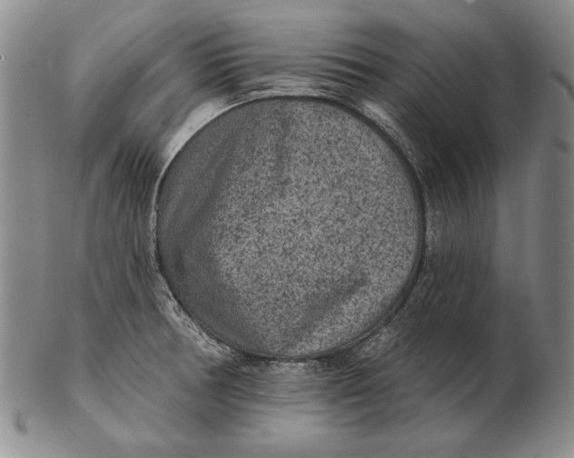 X0000102361378200808221706