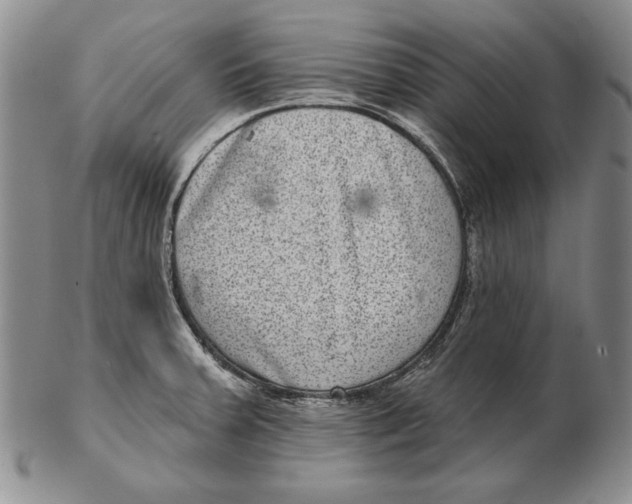 X0000102361379200808221706