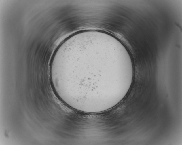 X0000102361380200808221706