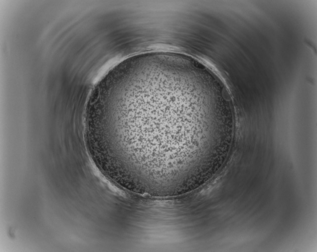 X0000102361381200808221706