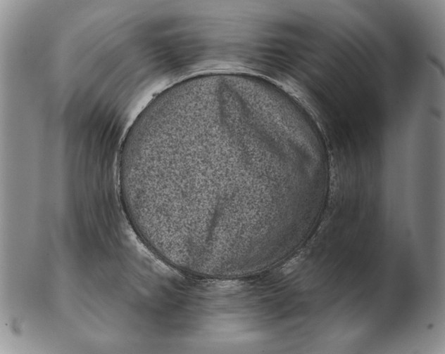 X0000102361382200808221706