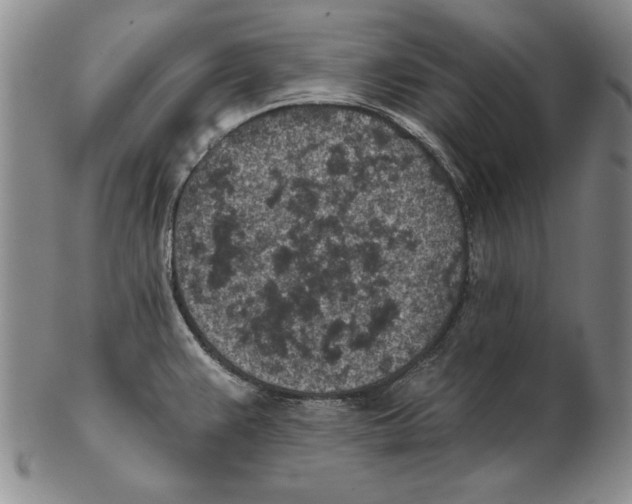 X0000102361383200808221706