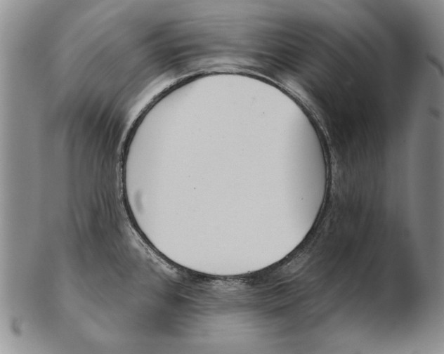 X0000102361384200808221706