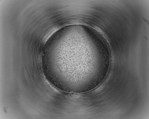 X0000102361385200808221706