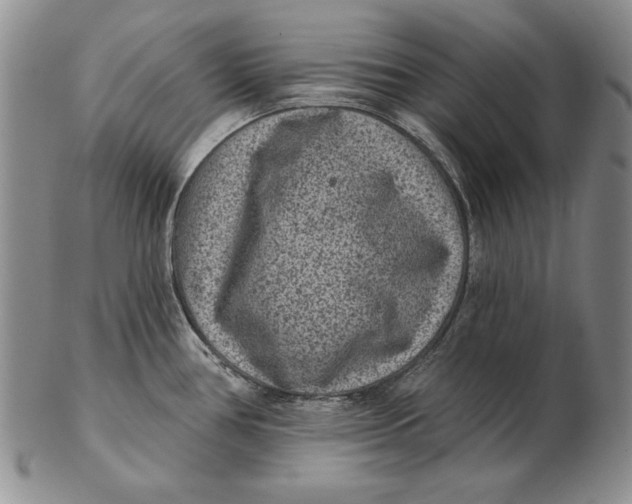 X0000102361386200808221706