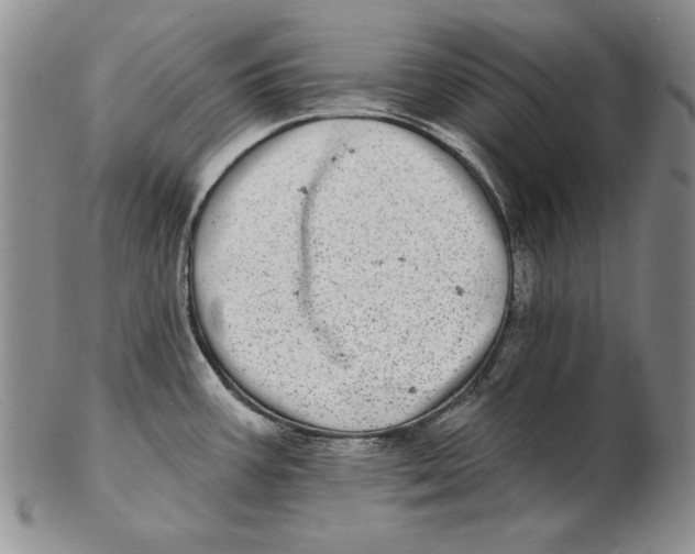 X0000102361387200808221706