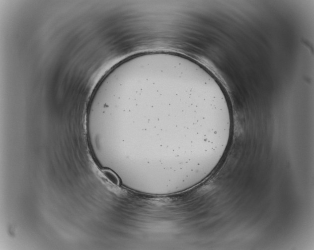 X0000102361388200808221706