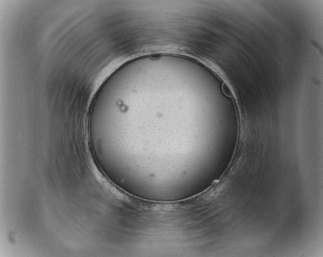 X0000102361389200808221706