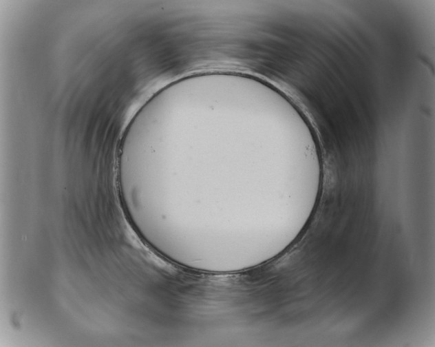 X0000102361390200808221706