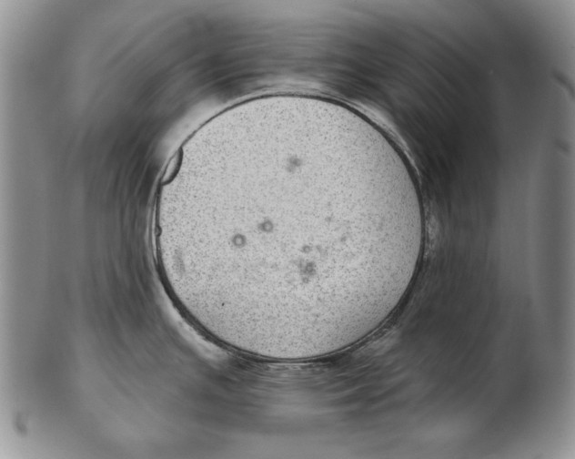 X0000102361391200808221706