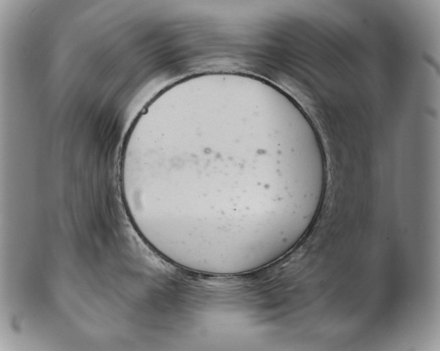 X0000102361392200808221706