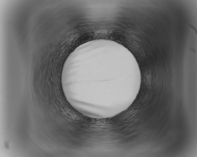 X0000102361393200808221705