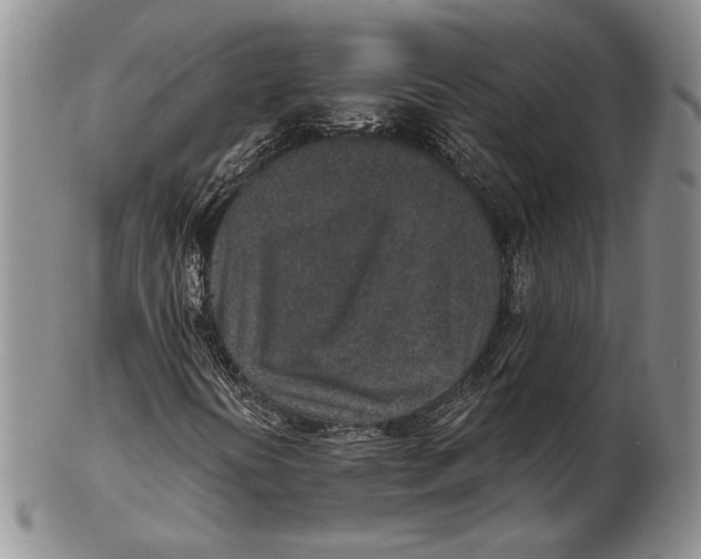 X0000102361394200808221705