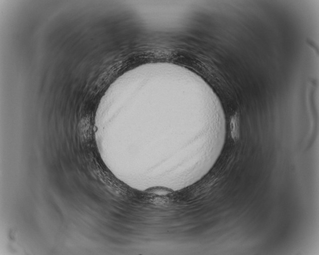 X0000102361395200808221705