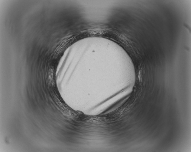 X0000102361396200808221705