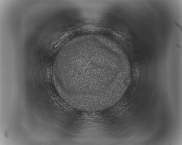 X0000102361397200808221705